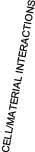 Cell/Material Interactions